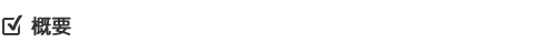 概要