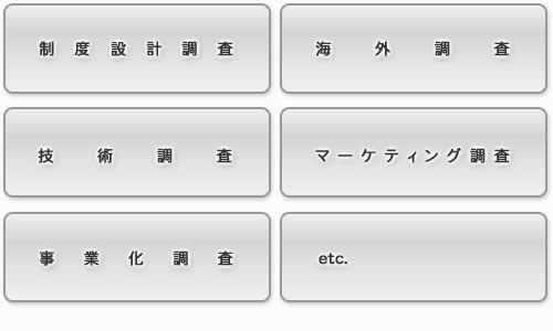 制度設計調査 海外調査 技術調査 マーケティング調査 事業化調査 etc.